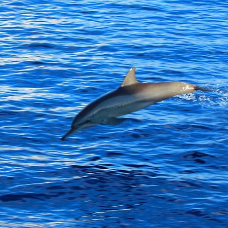 Blue Wave Hotel Maldives- Same Sea, Same Sand Same Sun Like Resorts Kudahuvadhoo Εξωτερικό φωτογραφία