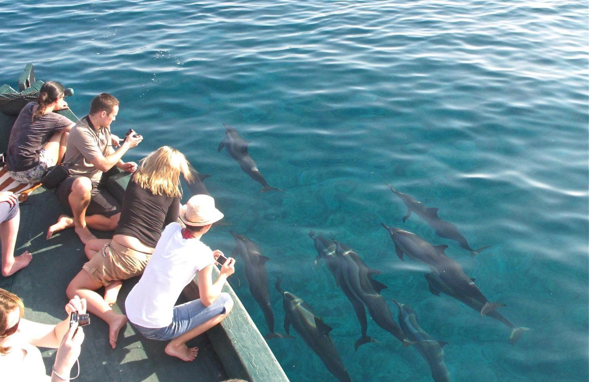 Blue Wave Hotel Maldives- Same Sea, Same Sand Same Sun Like Resorts Kudahuvadhoo Εξωτερικό φωτογραφία